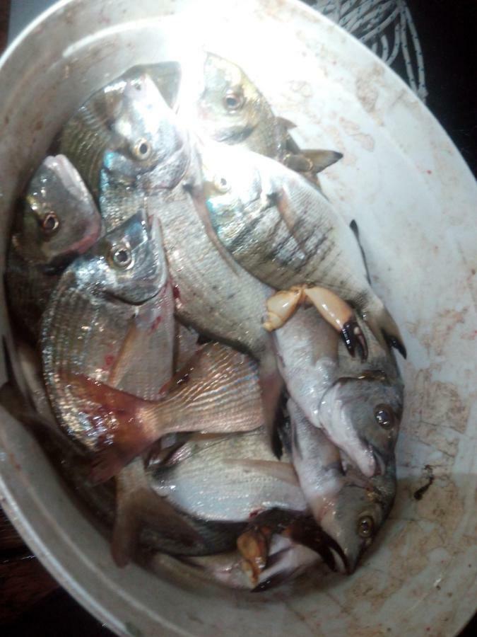 فاجانا B&B Dal Pescatore المظهر الخارجي الصورة