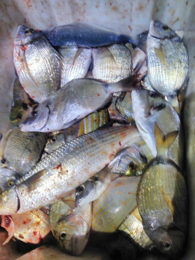 فاجانا B&B Dal Pescatore المظهر الخارجي الصورة